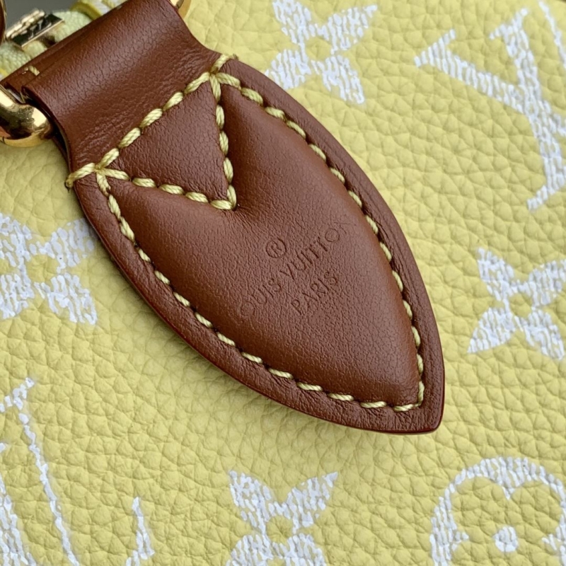 LV Speedy Bags